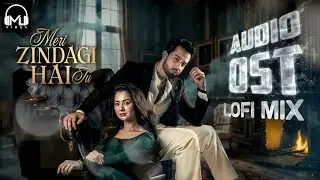 Meri Zindagi Hai Tu | Lofi Mix | Ost  | Bilal Abbas | Hania Aamir | Asim Azhar | Sabri Sisters 