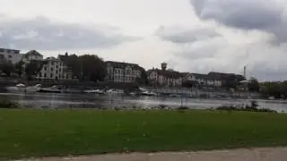 Neckarwiese Heidelberg