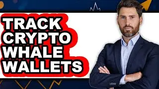 How To Track Crypto Whale Wallets - Full Guide