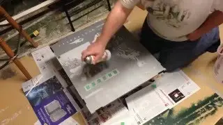 Sealing Williams Blue Chip