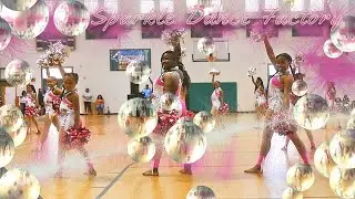 Whose Babies Got That 4 2019 Junior Pom Sparkle Dance Factory