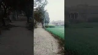 gaow ki mitti #song #villagelife #newsong #desiculture #video #shortvideo #trendingshorts #vlog#2026