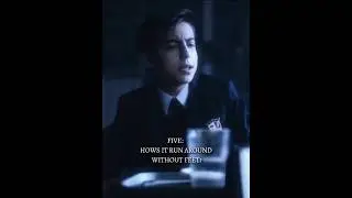 Five hargreeves x Y/n : #story #theumbrellaacademy #tua #pov #storypov #fyp #fivehargreeves #netflix