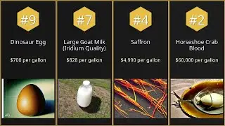 【Top 9】Most valuable animal products by market price【Searched in 2025】