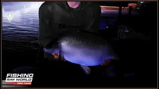 Multiple BOSS FISH - Night Fishing Session at Union Canal  #fishingsimworld