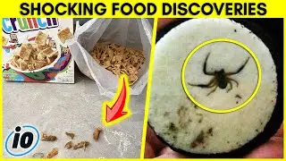 10 Shocking Unexpected Things Found In Food