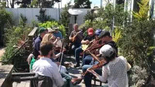 Celtic Music session at Half Moon Bay Brewing co