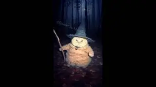 little ancient wizard | little cat wizard | #original #memes #cat