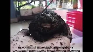 нежнейший шоколадный маффин