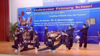 Endeavour Primary School Official Opening Ceremony - Wushu Performance