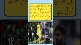 Pakistan create history against Australia ❤️ #pakvsaus #pakistancricket #shaheen #rizwan