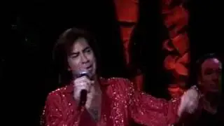 SWEET CAROLINE, Neil Diamond - The Tribute