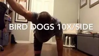 Functional Core Fitness at Home