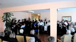 kud donji vidovec - stiha stiha