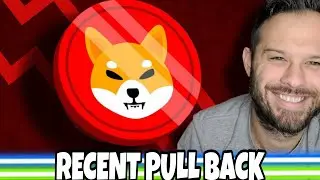 Shiba Inu Coin | SHIB Falling, But Will It Last?