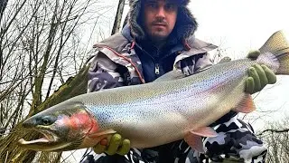 SMALL CREEK [BIG STEELHEAD]#subscribe #troutfishing #whatgetsyououtdoors #steelheadfishing #fypシ 