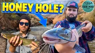 Exploring Las Vegas Bay for Catfish... We Learned Something Important About Finding Fish