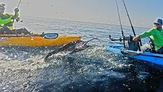 Delray Beach / Boynton Beach Sailfish | DEEP BLUE Kayak Fishing Charters