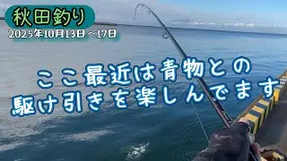 【秋田釣り】10月の朝は青物が相手をしてくれました #秋田 #青物 