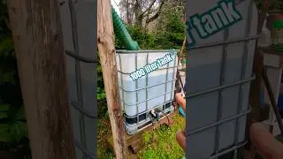 HOW TO collect rain Off-grid. IBC tote water storage. #ibc #rain #irrigation #garden #independent