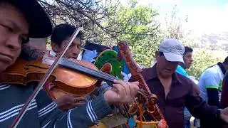 TORIL... COTARUSI APURIMAC ,AGOSTO 2017