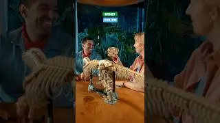 Kun hos Extra Leker! Bygg den legendariske T. rex i LEGO 🦖