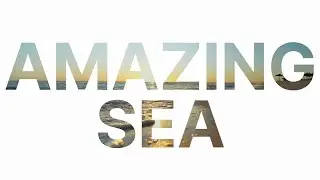 motivational quotes in Hindi  #shortvideo #tranding #viralvideo#news #cricket#nature#sea #beachvibes