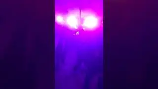 Lyster audio
