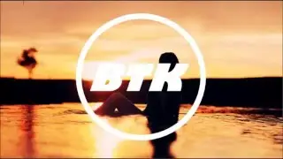 Hardwell feat. Mr. Probz - Birds Fly (Remix)