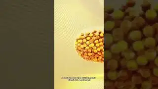 Researchers in Germany have developed a sustainable method to produce protein and vitamin B9