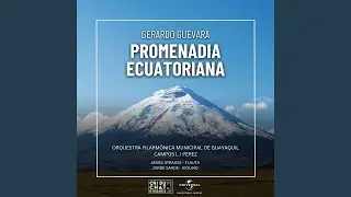 Violin Concerto: I. Allegro energetico