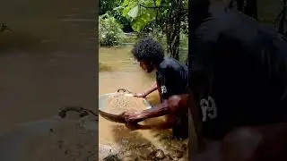 emas Papua