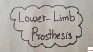 Lower Limb Prosthesis||Types Of Lower Limb Prosthesis||Immediate Post-Operative Prosthesis