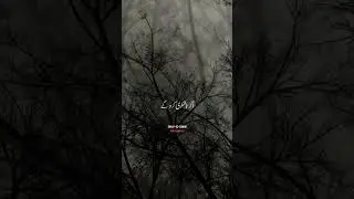 beautiful tilwat quran majeed Surah Zumar 😍🎧#quran #tilawet #qurantilwat #islamicvideo