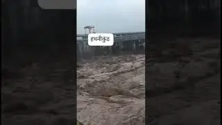 Hathnikund Barrage #viral