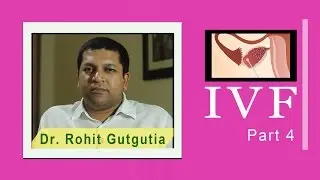 IVF 4. What is egg retrieval, when it is scheduled, is it painful?