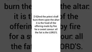 Day 28. 365 Days Bible Reading Series. Leviticus 1-4
