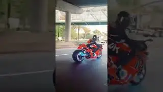 LightRoseGold Suzuki Hayabusa | Nina |  Brock Exhaust Sound
