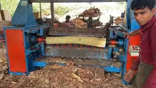 Timber sawmill peeling wood rolling hydraulic machine 😱👌🌲| Wooden works 🪵|