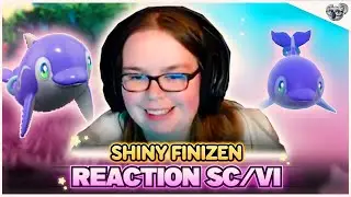 Nicest shiny in Gen 9! | Shiny Finizen Reaction | Pok&eacute;mon Scarlet/Violet