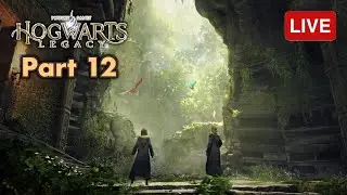🔴 Hogwarts Legacy Livestream PART 12 | zkael★