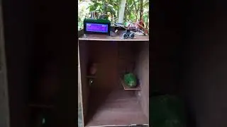 Smart Mini Fridge project