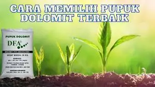 CARA MEMILIH PUPUK DOLOMIT KUALITAS SUPER