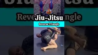 Reverse Triangle⚠️🔥 #jiujtsu #mma #wrestling #submission #spiderman #sports #martialarts #gym #mma