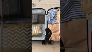 How to Pack Your Travel Bag Easily and Efficiently | Smart Travel Hacks