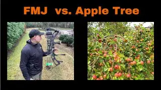 Easton FMJ Arrow vs. Apple Tree
