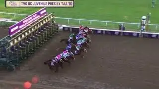 Essential Quality rallies under jockey Luis Saez to win the $2 m Breeders' Cup Juvenile at Keeneland