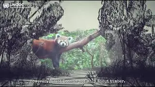 Corruption drives forest crime