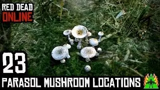 Red Dead Redemption 2 ONLINE - PARASOL MUSHROOM LOCATIONS