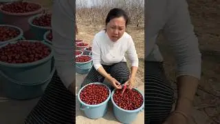 Rare fruits from china #fruit #farming #agriculture #garden